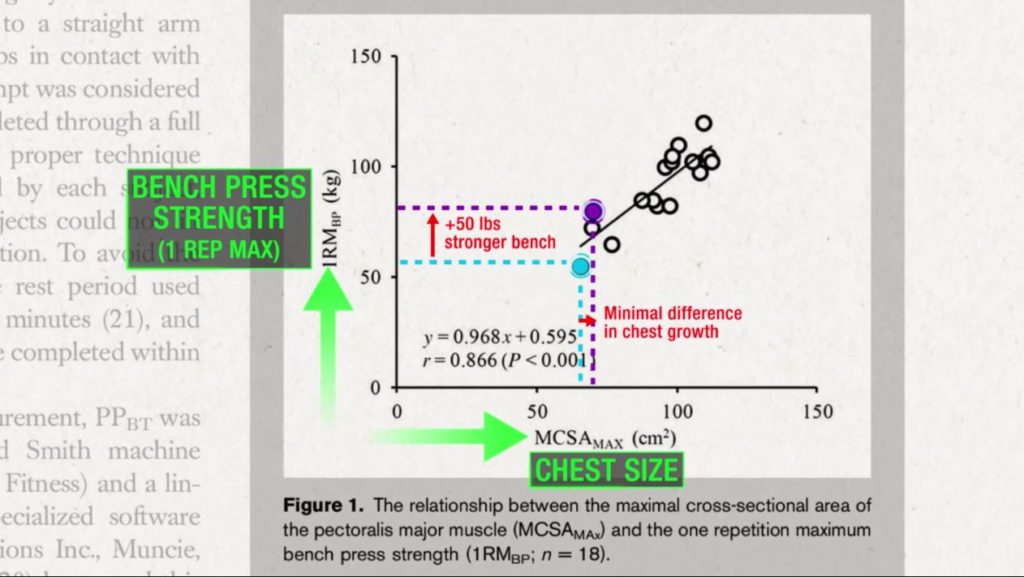 Relationship between bench press strength and chest size isn't linear