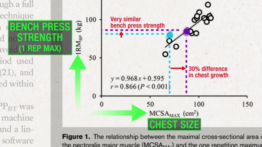 Relationship between bench press strength and chest size isn't linear 2