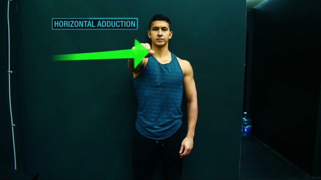Role of the chest horizontal adduction
