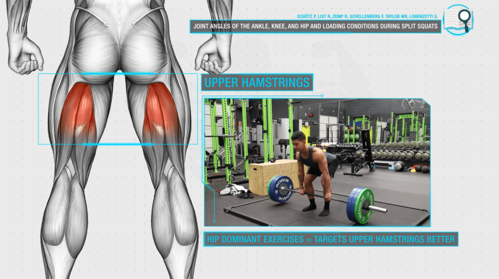 Upper hamstring activation-min