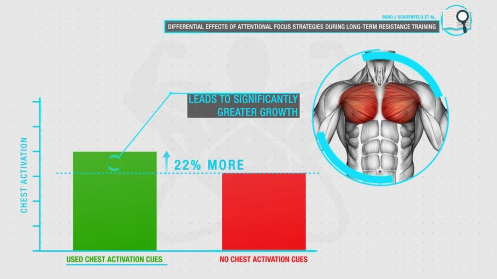 Using chest activation cues leads to significantly greater growth with the bench press