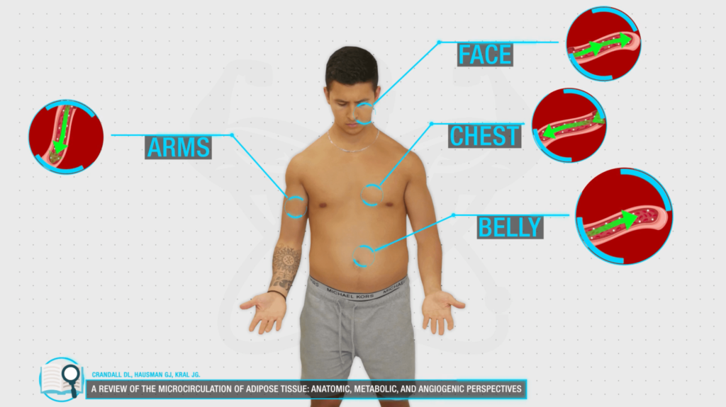 Stubborn overhang belly fat at 20% Body Fat, or lose skin? : r/loseit