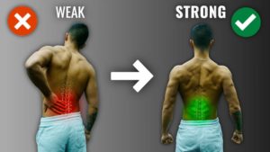 the best lower back exercises for low back pain
