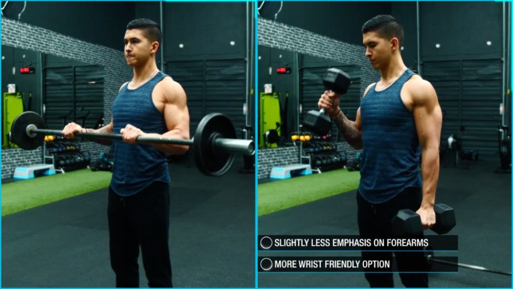 effective forearm workouts