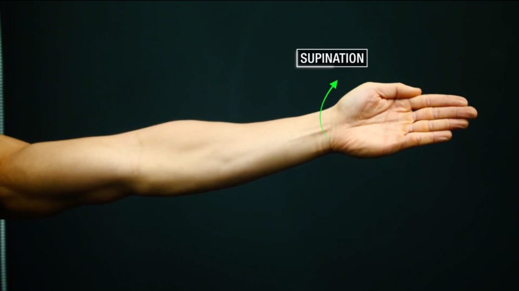 Forearm supination