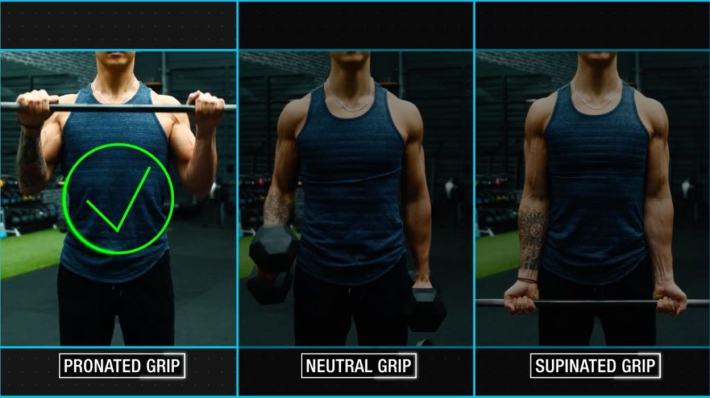 How to get bigger forearms pronated grip