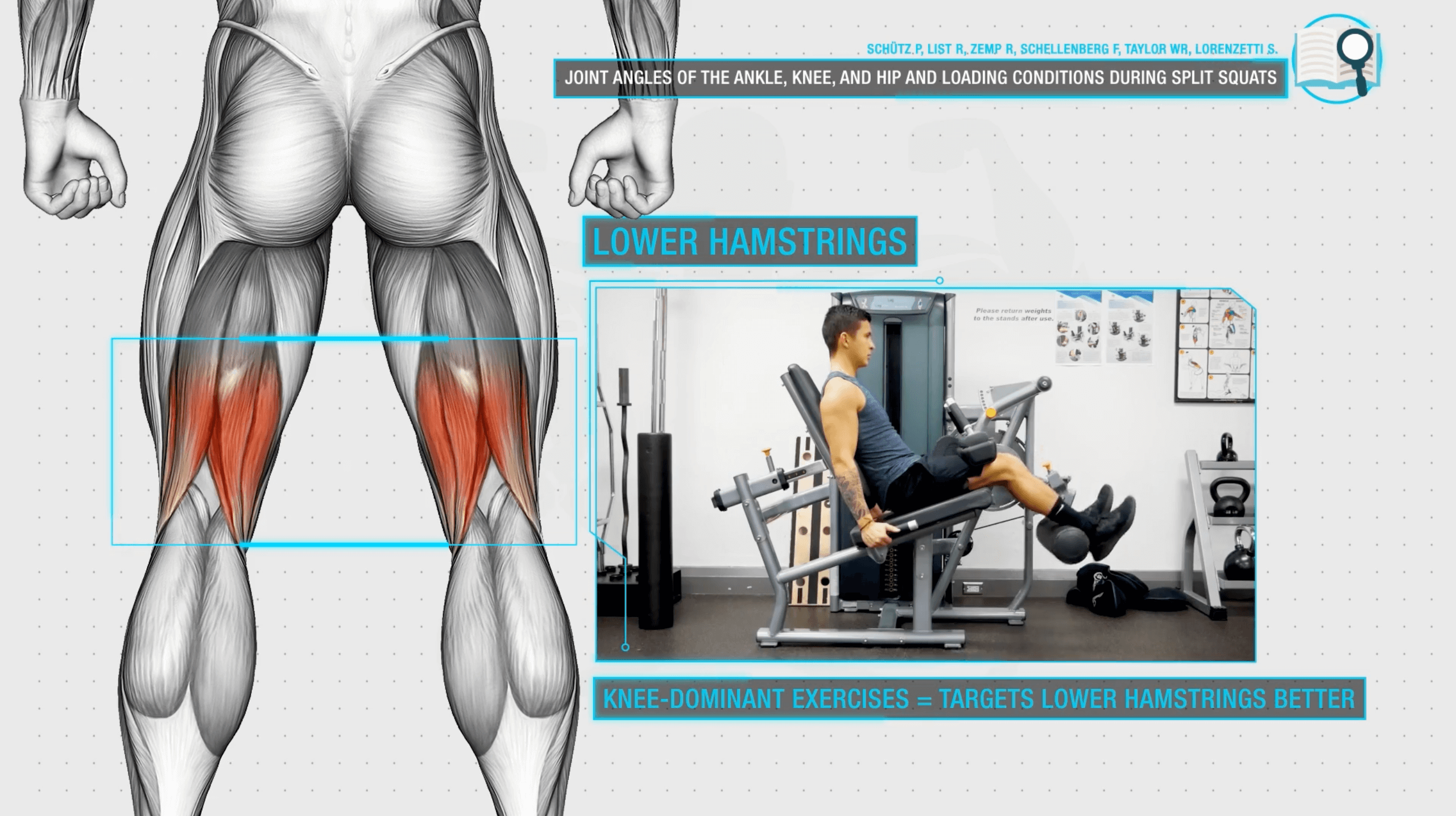 3 Muscle Imbalance Fixes For Quicker Gains (Stop Neglecting These)