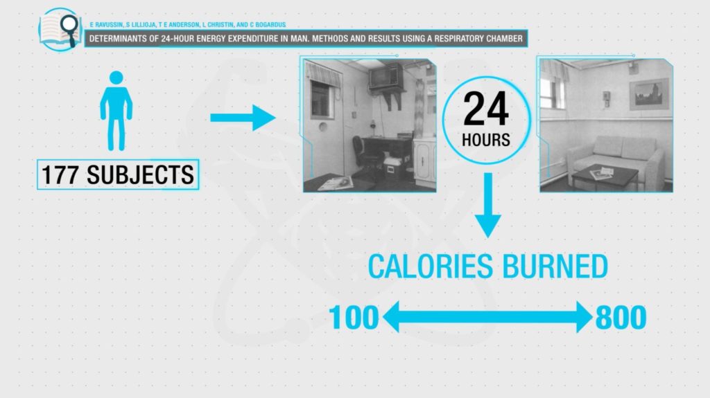 NEAT metabolism