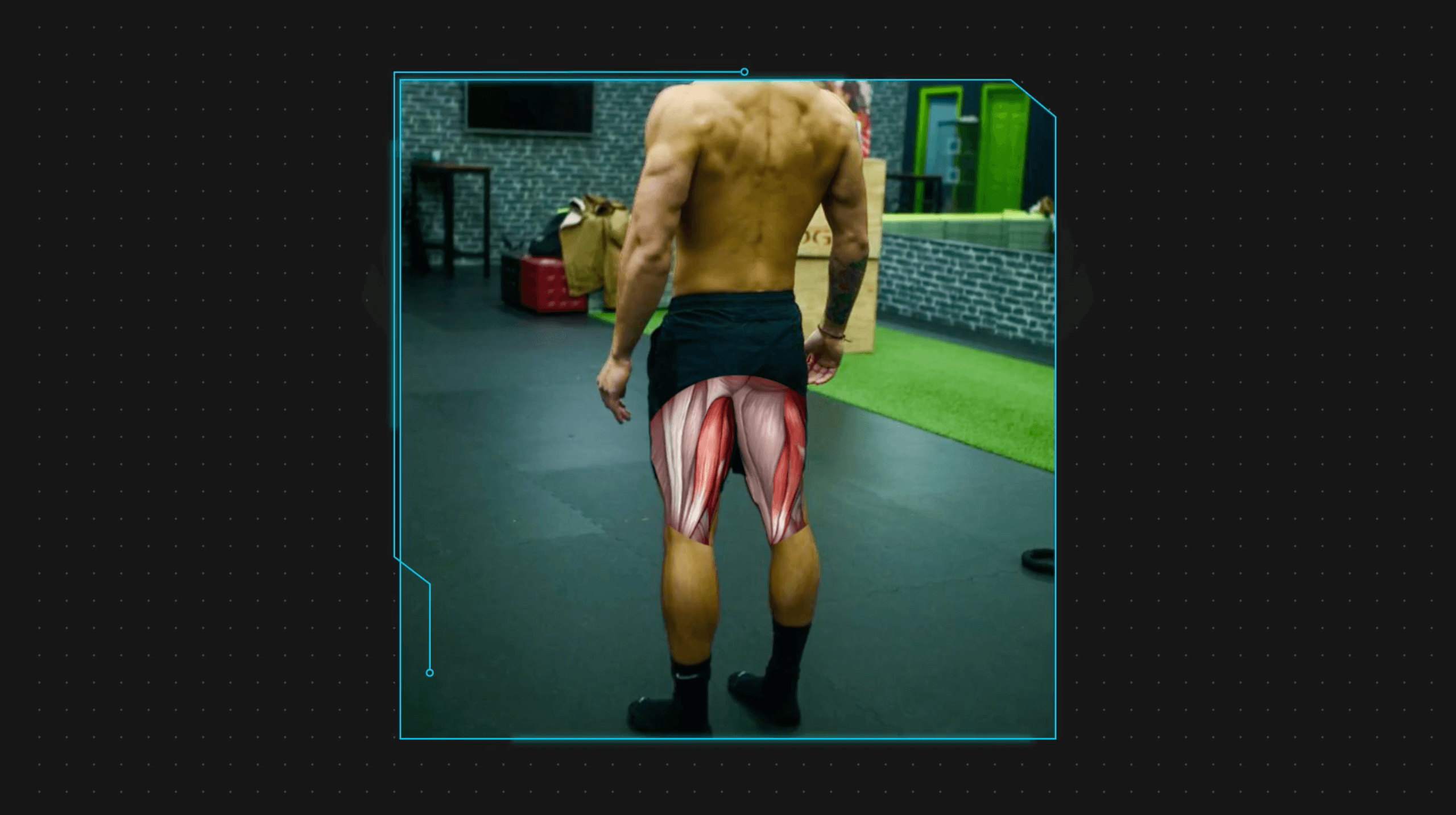 Neglected muscle hamstrings