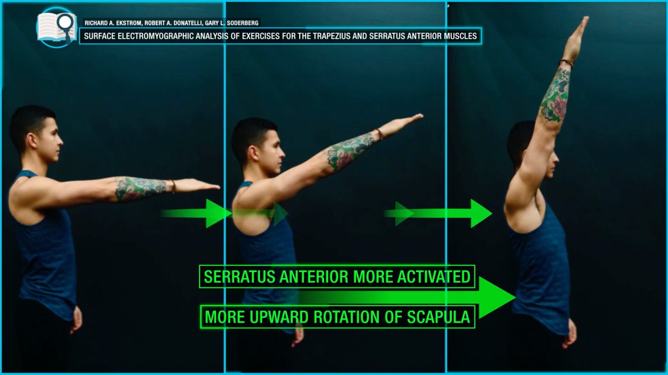 Serratus anterior activation