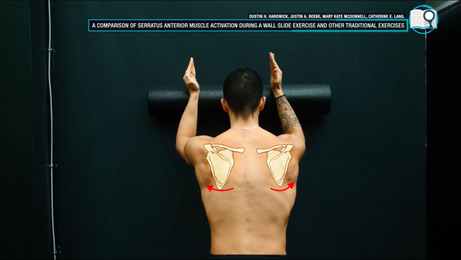 Serratus anterior exercise wall slide