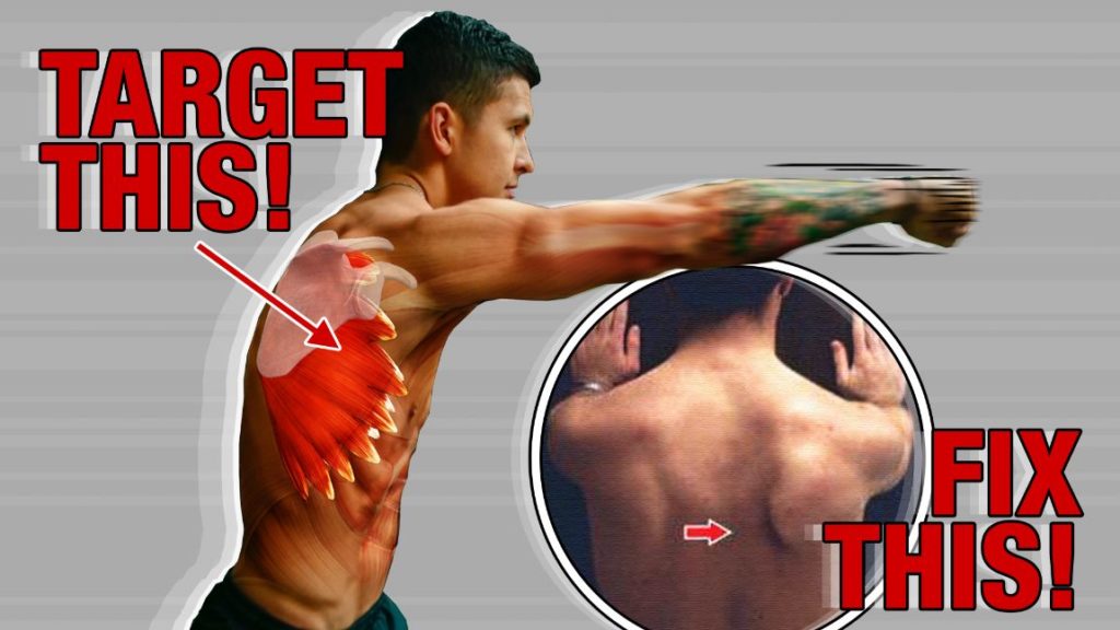 Serratus Anterior Boxer
