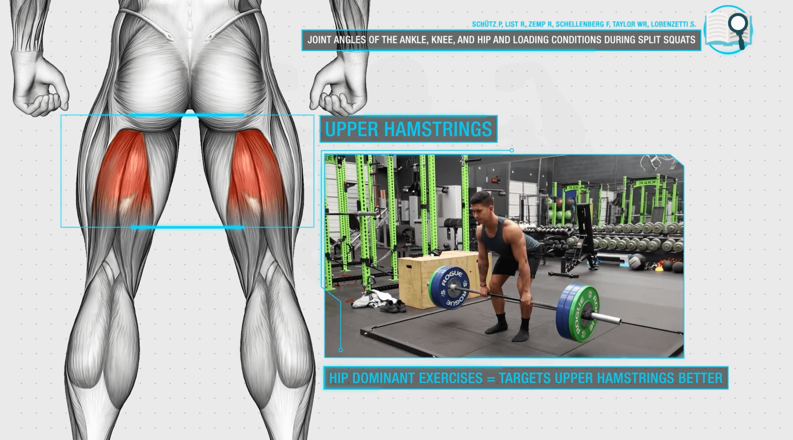 Upper hamstring strengthening online exercises