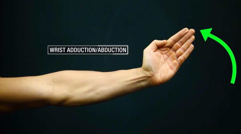Wrist adduction and abduction 2