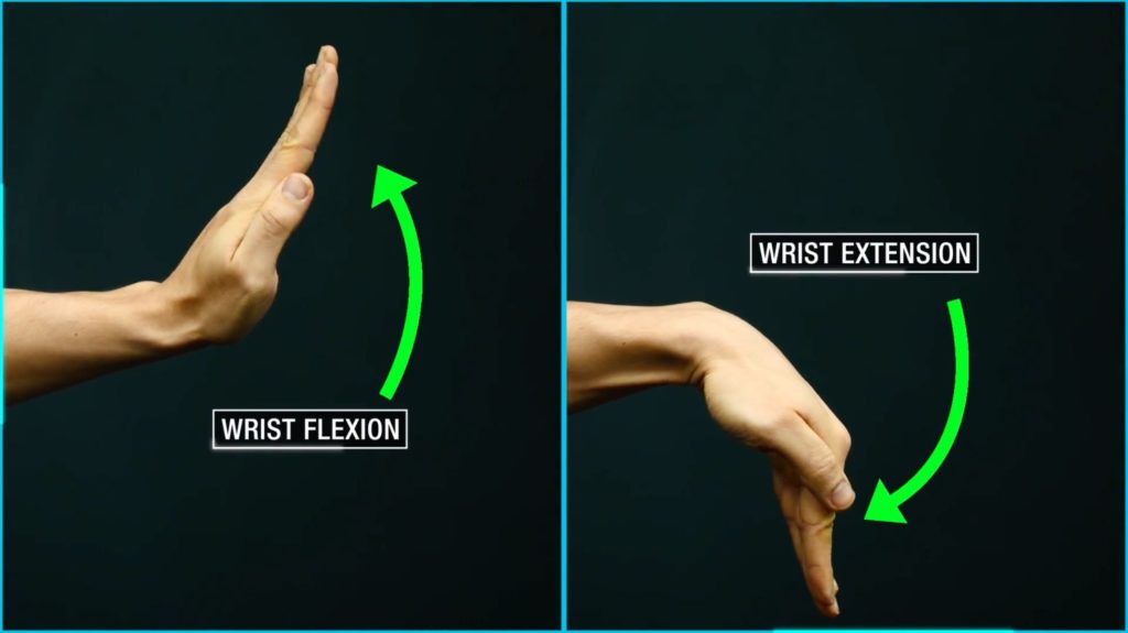 Wrist flexion and extension