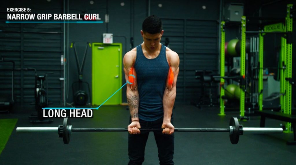 narrow grip barbell curl > OFF55