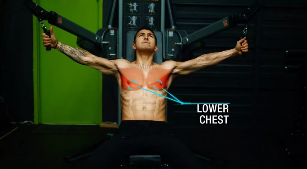 Push workout for mass lower chest