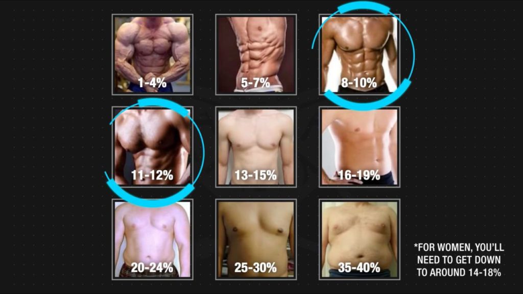Good Six Pack Exercises OFF 63 