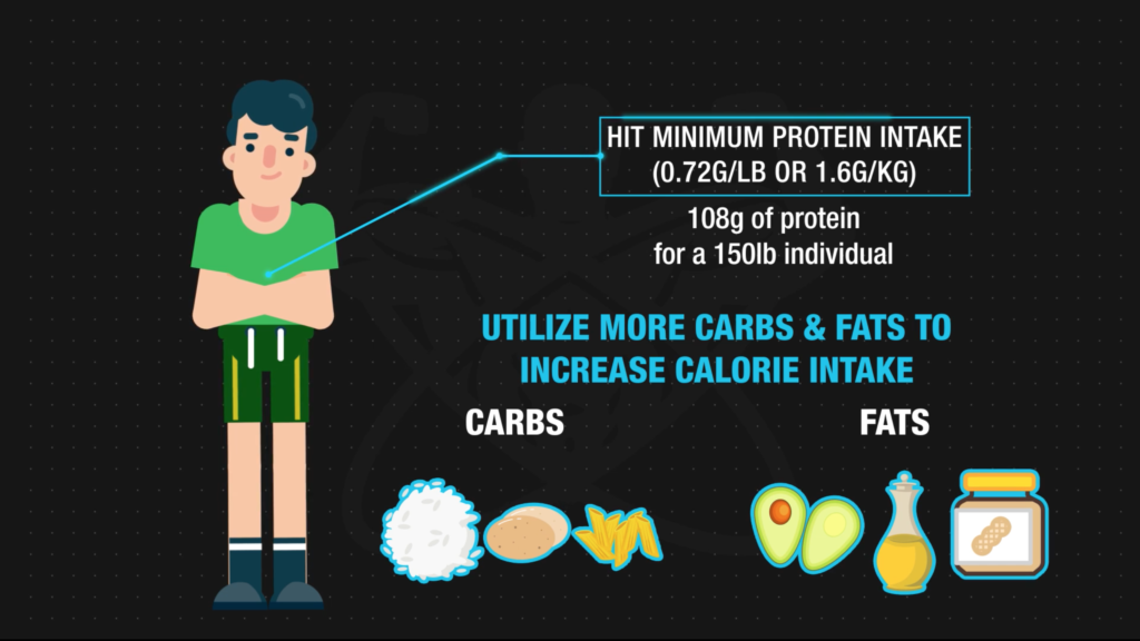 Optimizing diet for hardgainer