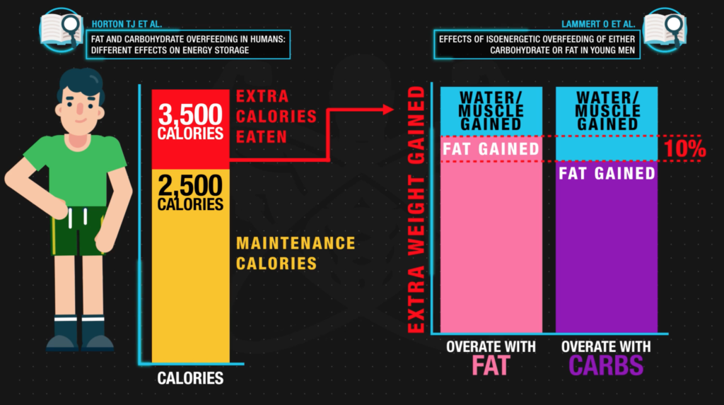 Diet Plan Vs Meal Plan - The-most-misunderstood-words