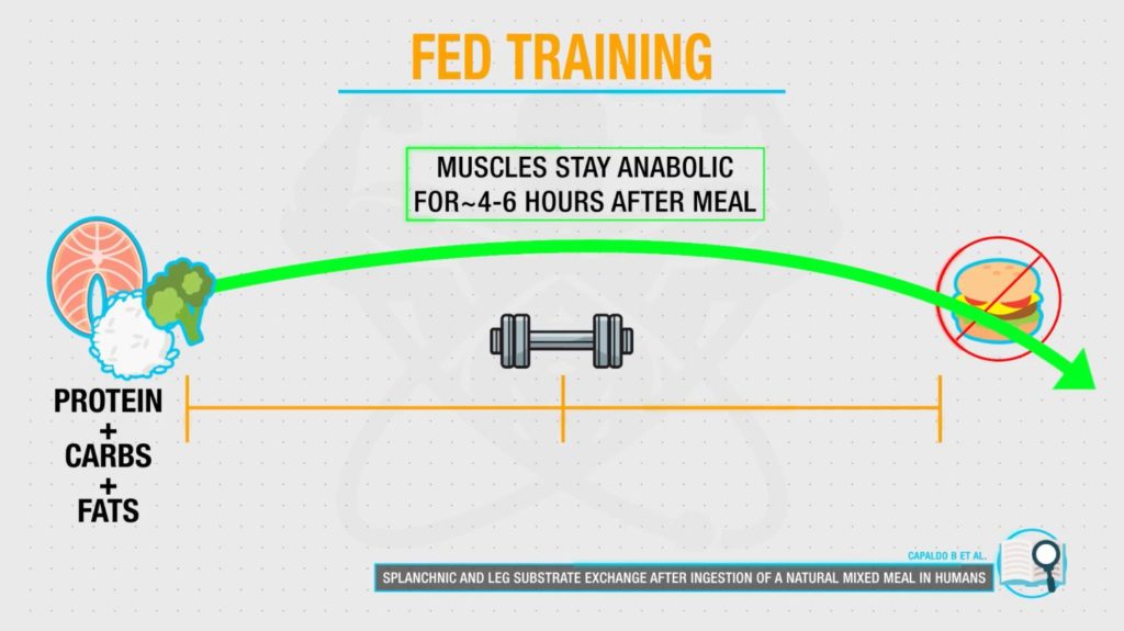 Fed training and period of anabolic window