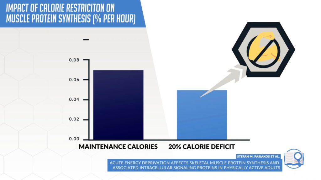 Impact of calorie restriction on body recomposition