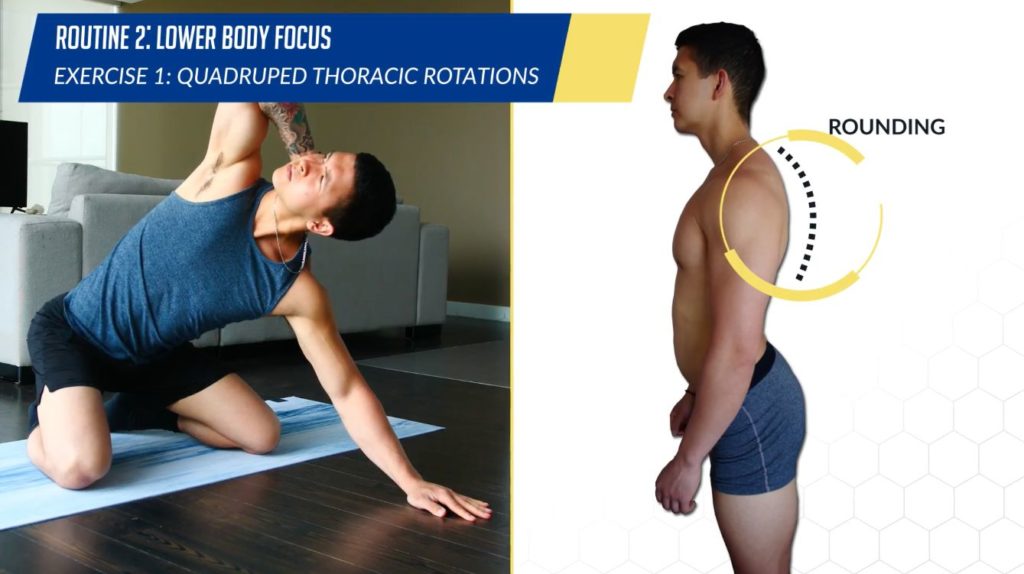 Posture correction routine exercise quadruped thoracic rotations