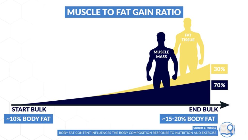 Muscle to fat gain ratio body fat