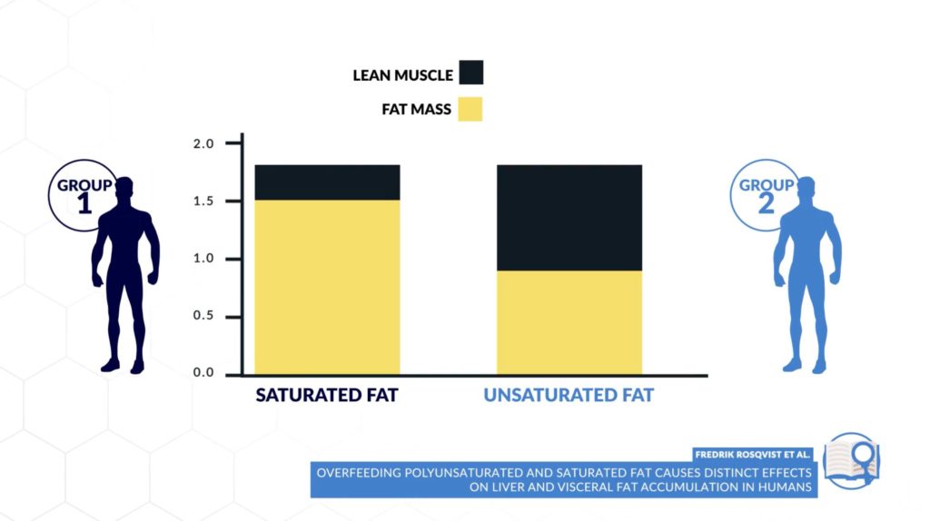Saturated fat vs unsaturated fat muscle gain