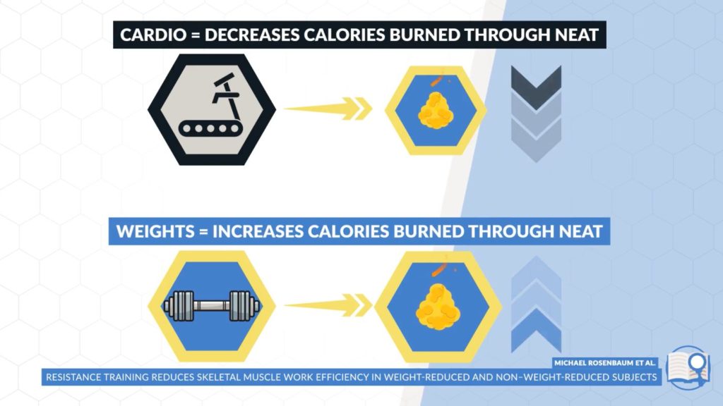 Weight training helps to increase calories burned through NEAT