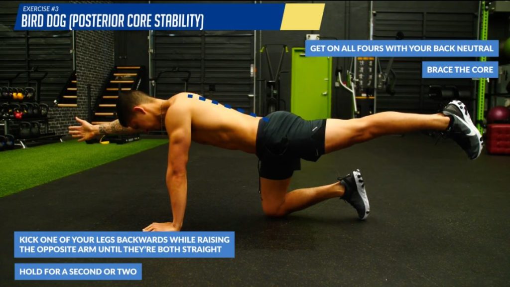 Intensify Your Ab Workout and Build Core Strength with Core Sliders –  Epitomie Fitness