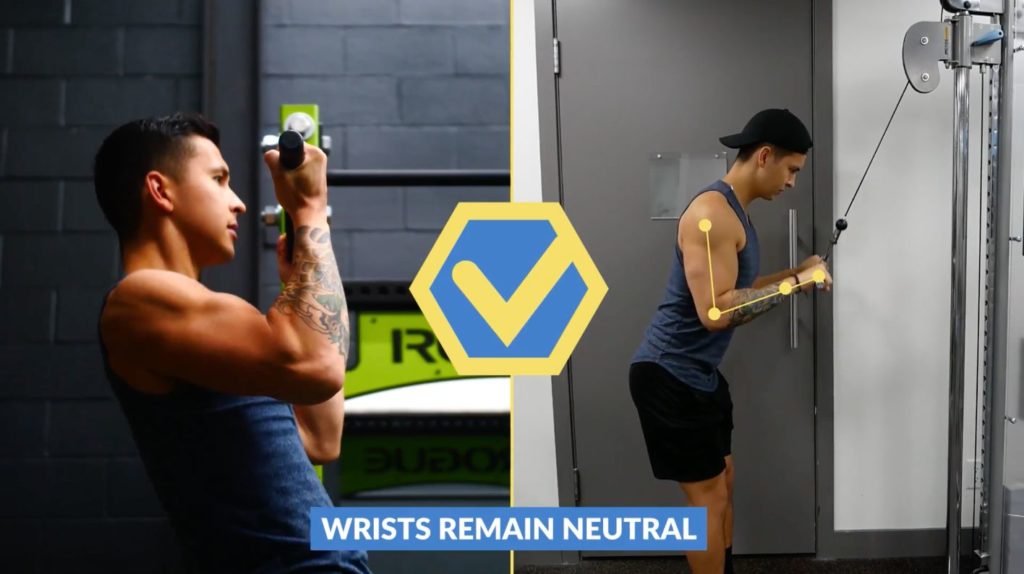 Ensure your wrists remain neutral during exercise execution
