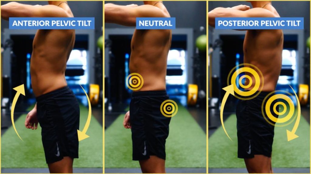 Master the posterior pelvic tilt for six pack abs