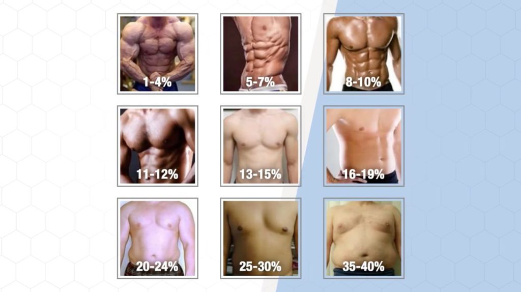 Body Fat Percentage: Best Ways to Calculate It - HealthKart