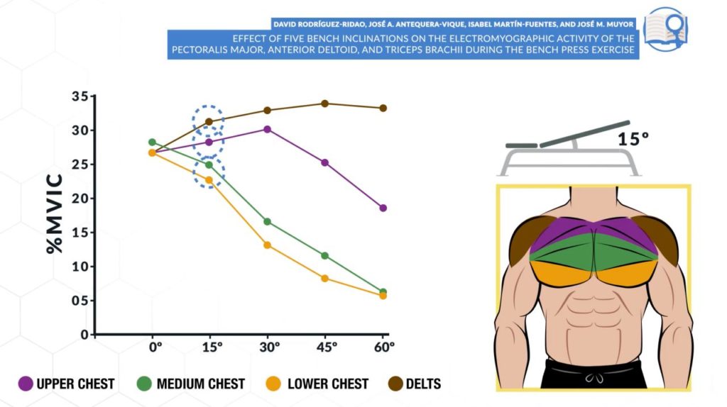 Chest activation pattern with the incline dumbbell press