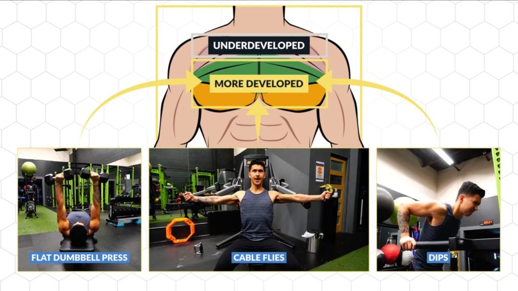 Chest exercises tend to work the mid and lower chest region