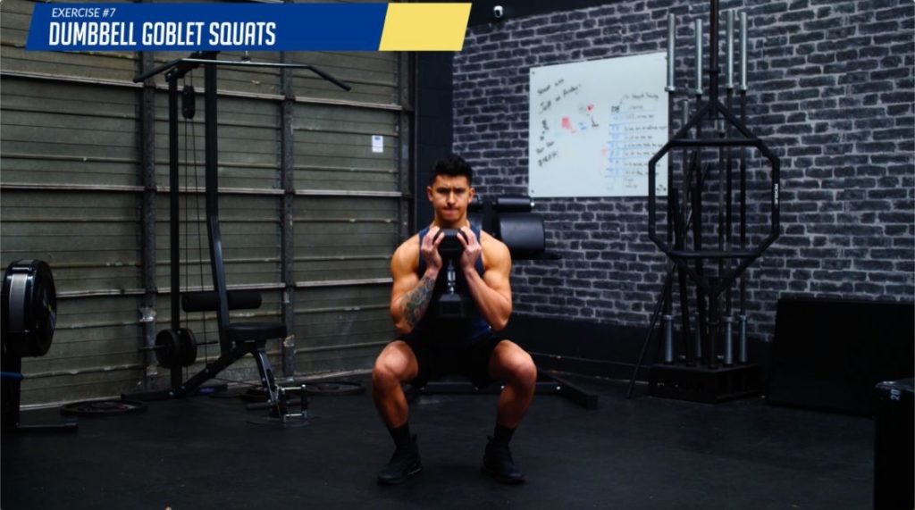 Dumbbell goblet squats