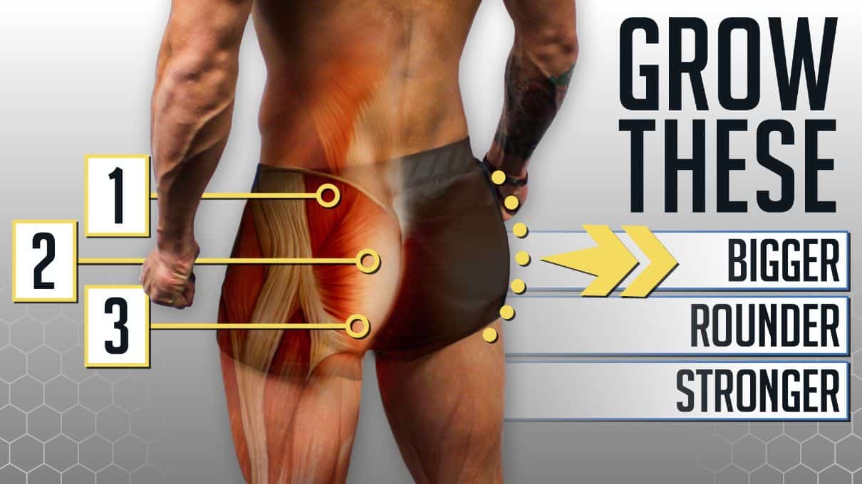 The 4 BEST Glutes Exercises Ft. Bret Contreras GYM OR HOME