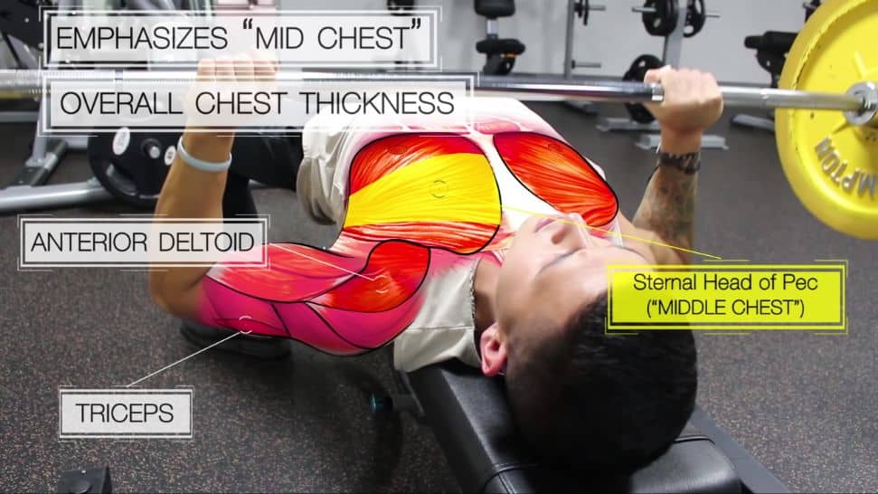 Flat bench press to target mid chest