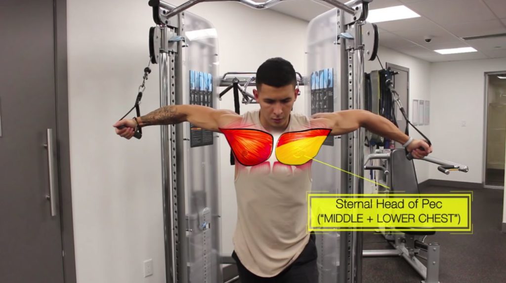 5 exercises for the lower chest