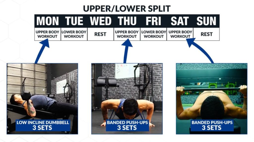 67% Faster Biceps Growth!