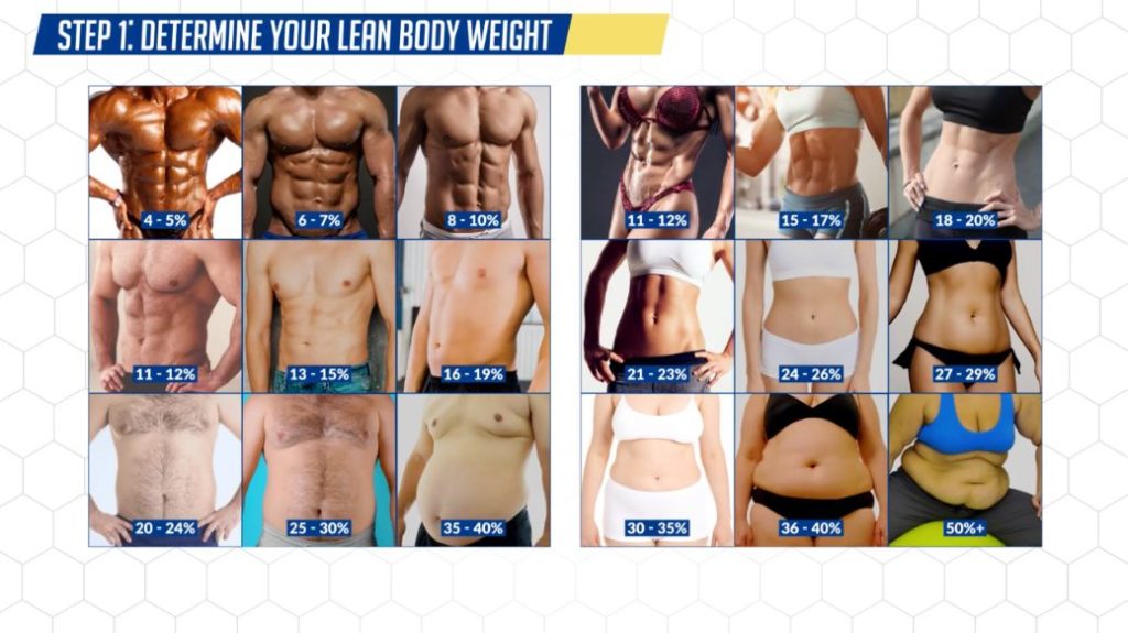 How Long Does It Take For Your Abs To Show? (Use This Formula!)