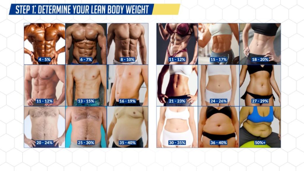 How Long Does It Take For Your Abs To Show Use This Formula 