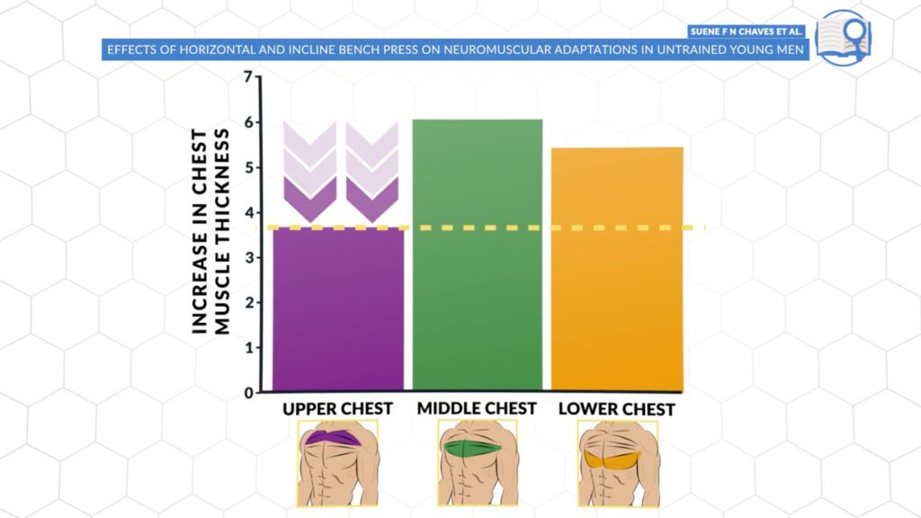 How Many Exercises Per Muscle Group For MAXIMUM Growth?