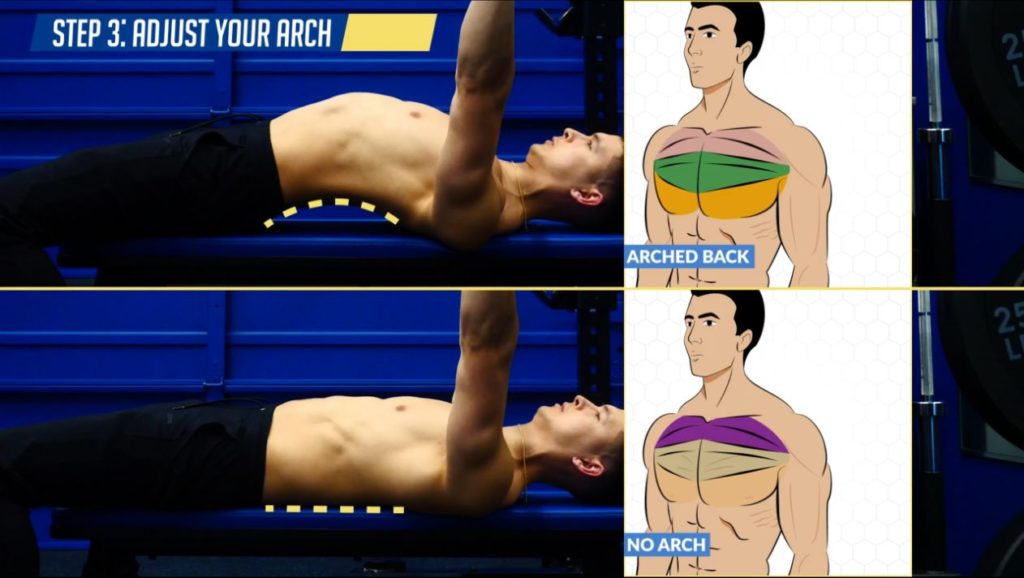 Adjust your arch on the bench press