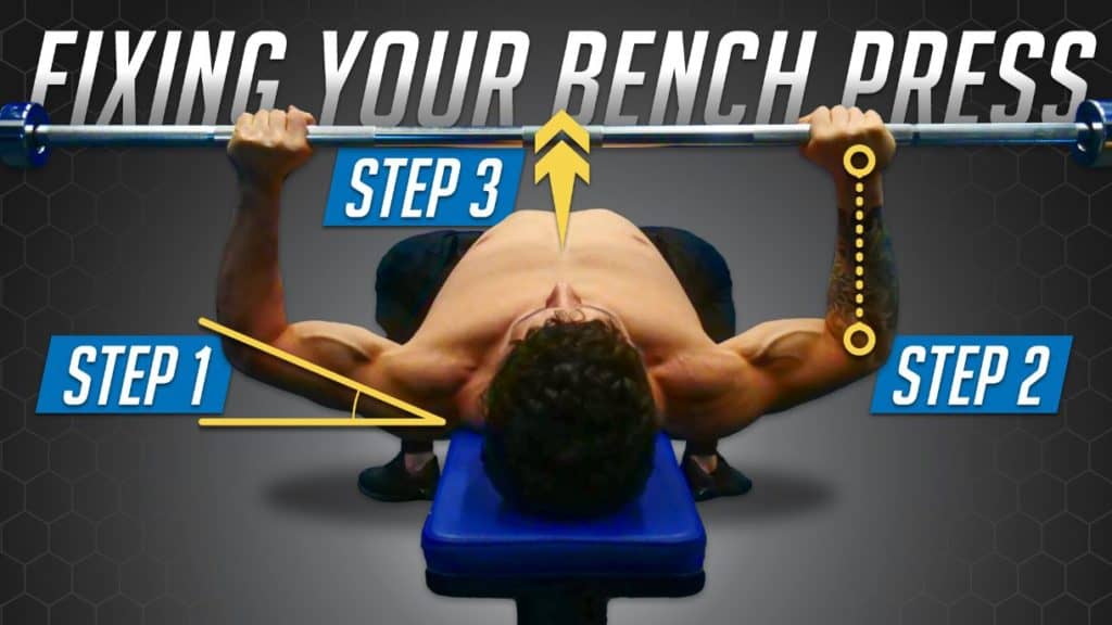 how-to-bench-press-based-on-your-anatomy-correct-your-form