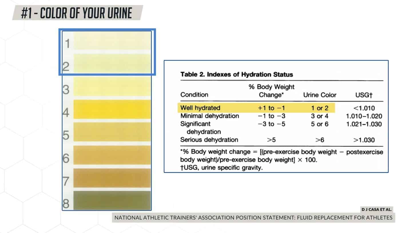 What to do before a workout check color of urine