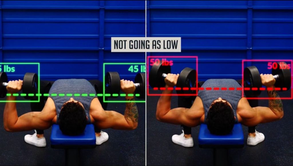 Size vs. Strength: How Important is Muscle Growth For Strength Gains? •  Stronger by Science