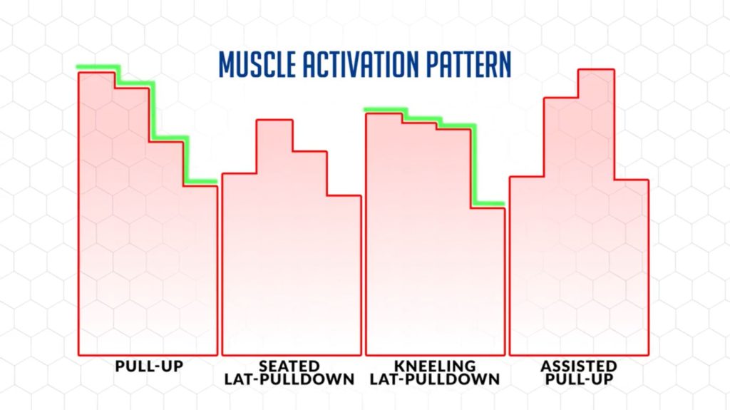 Muscle activation pattern of the kneeling lat pulldown is similar to the pull up