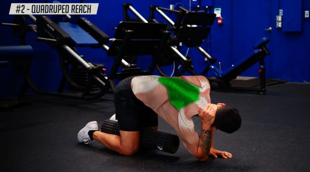 Straighten your back with the quadruped reach